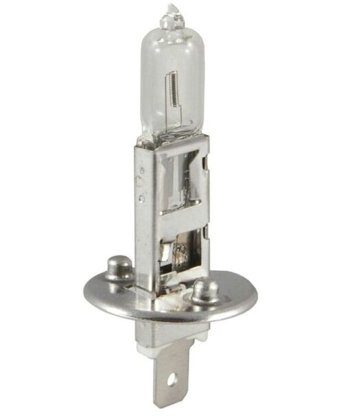 H1 -P14,5s Lampadina alogena